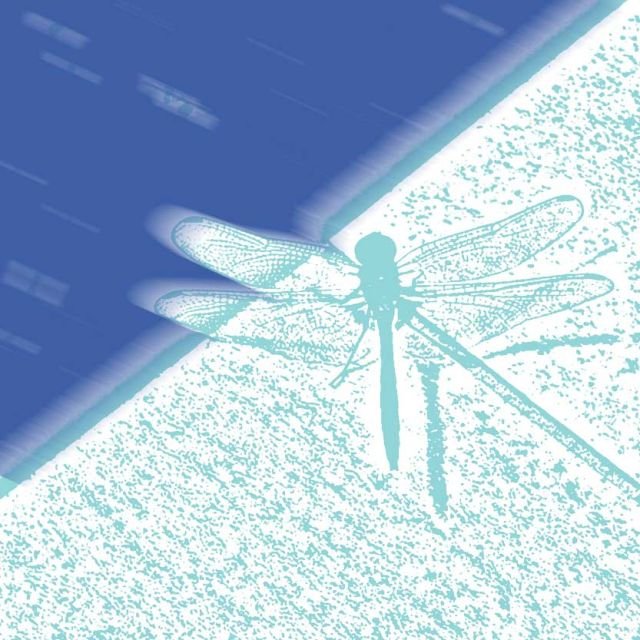 Dragonfly